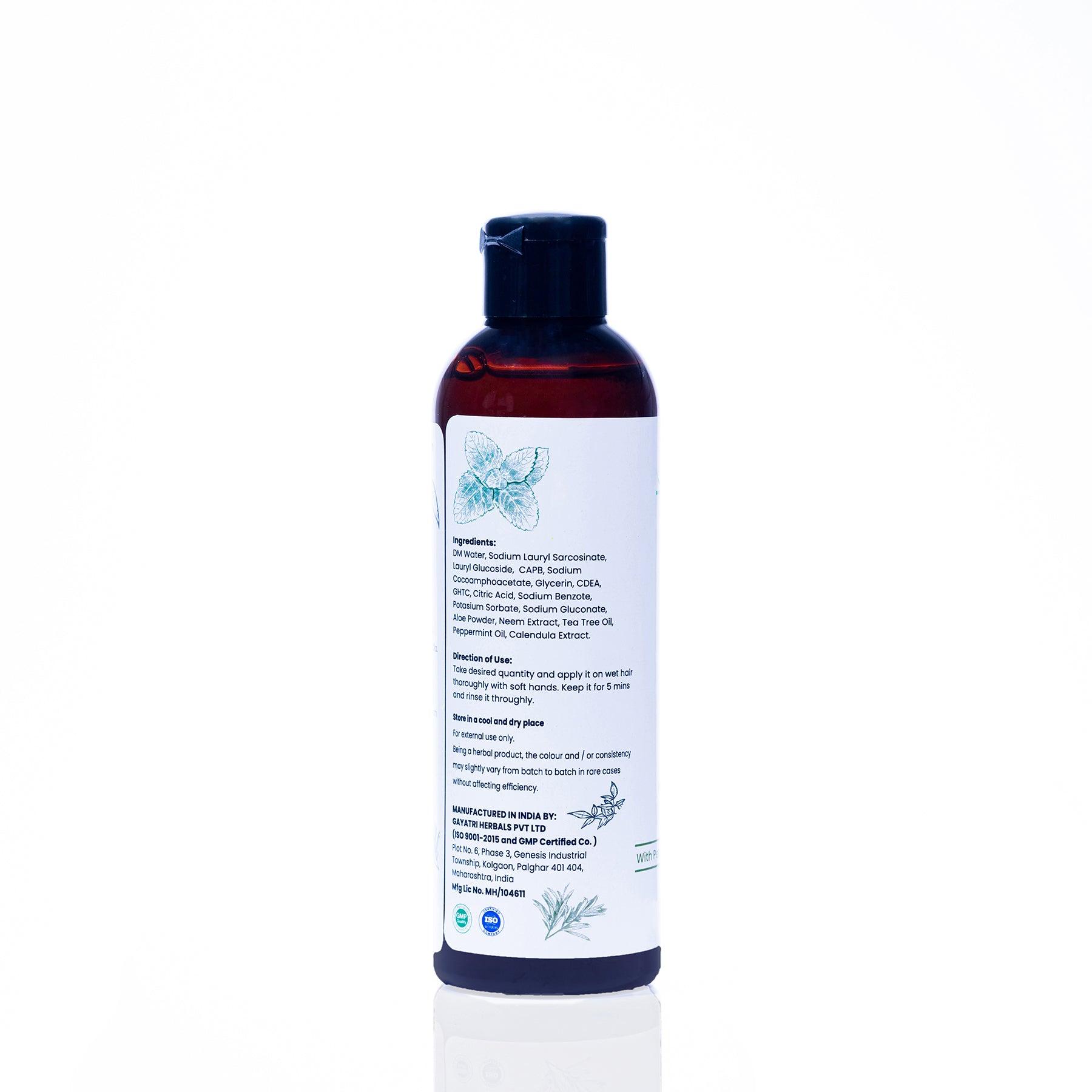 Anti Dandruff Shampoo - Chokha Organics